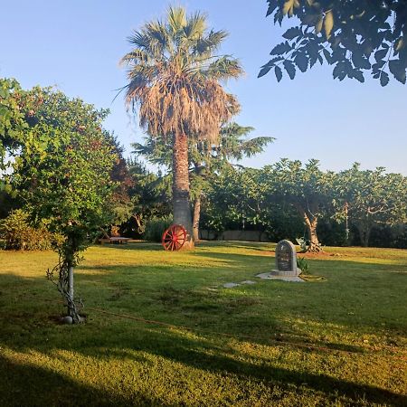 Apartments Karpetis A Green Paradise Psakoudia Bagian luar foto