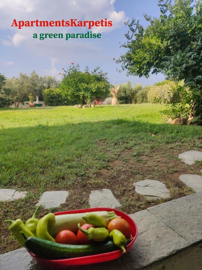 Apartments Karpetis A Green Paradise Psakoudia Bagian luar foto