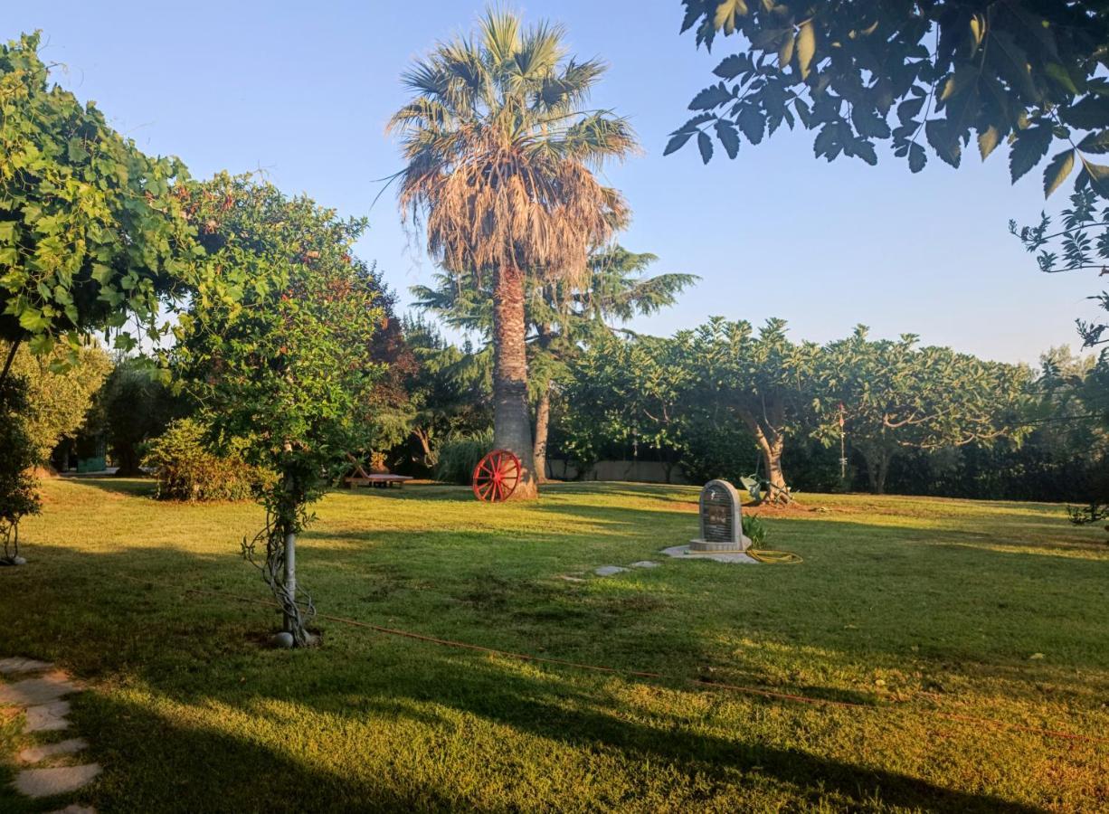 Apartments Karpetis A Green Paradise Psakoudia Bagian luar foto