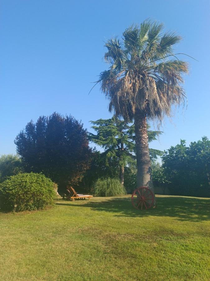 Apartments Karpetis A Green Paradise Psakoudia Bagian luar foto