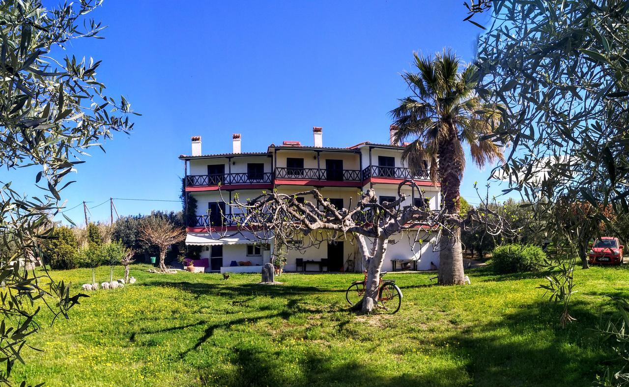 Apartments Karpetis A Green Paradise Psakoudia Bagian luar foto