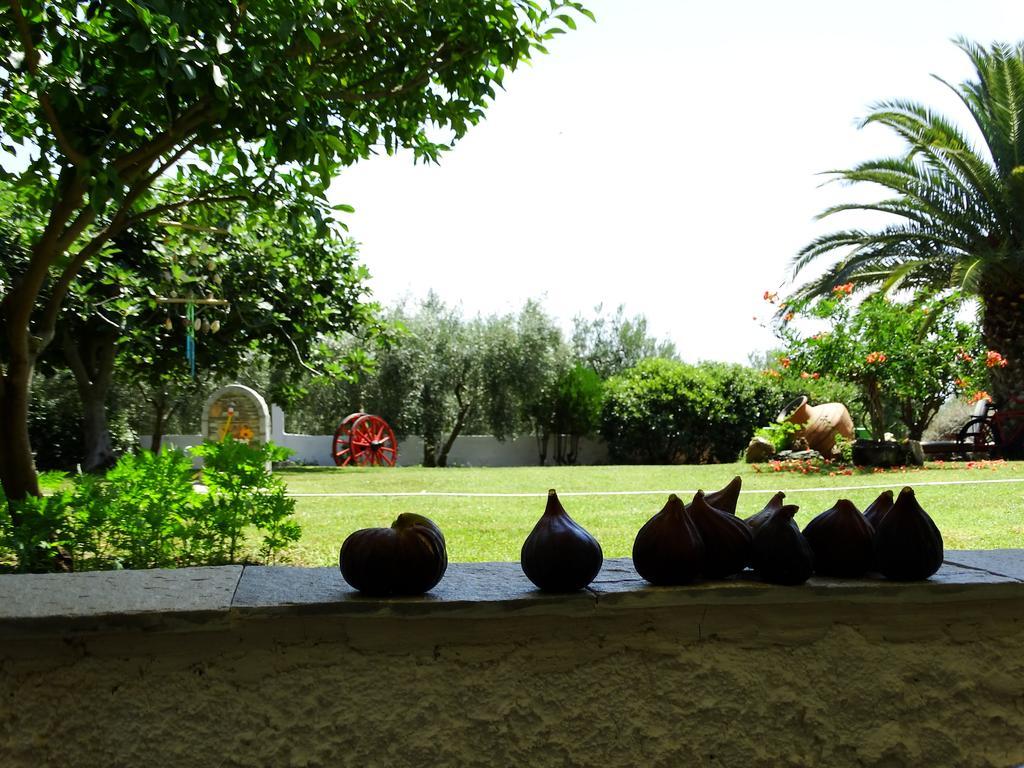 Apartments Karpetis A Green Paradise Psakoudia Bagian luar foto